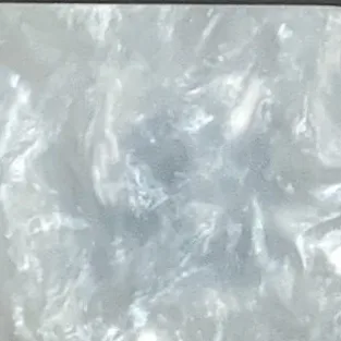 Xenia Coral