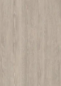 Stellar Oak