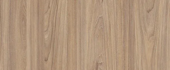 Swiss Elm Amber
