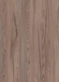Hokaido Elm