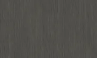 Volcanic Ash