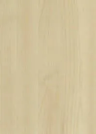 Maple